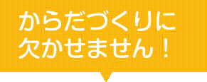 からだづくりに欠かせません！